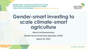 Gender-smart investing to scale climate-smart agriculture in the Ghanaian context