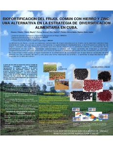 Biofortificación del frijol común con hierro y zinc: una alternativa en la estrategia de diversificación alimentaria en Cuba