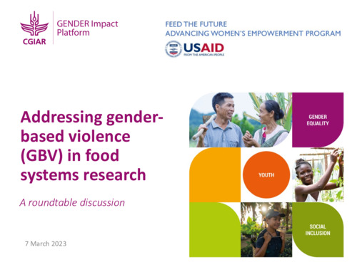 Addressing gender-based violence (GBV) in food systems research: A roundtable discussion