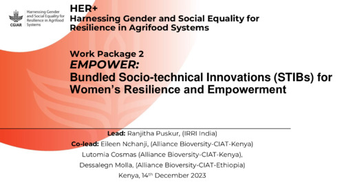 Work Package 2- EMPOWER: Bundled Socio-technical Innovations (STIBs) for Women’s Resilience and Empowerment