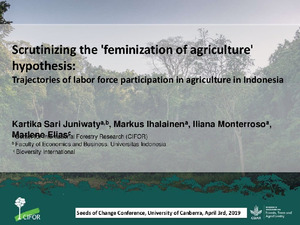 Scrutinizing the 'feminization of agriculture' hypothesis: trajectories of labour force participation in agriculture in Indonesia