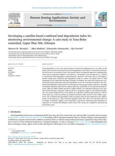 Developing a satellite-based combined land degradation index for monitoring environmental change: A case study in Tana-Beles watershed, Upper Blue Nile, Ethiopia