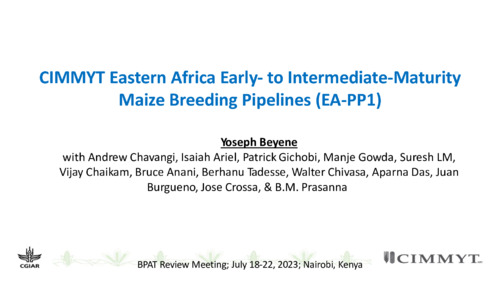 CIMMYT Eastern Africa early- to intermediate maturity maize breeding pipelines (EA-PP1)