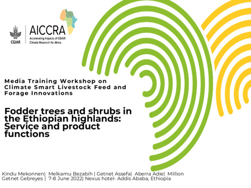 Fodder trees and shrubs in the Ethiopian highlands: Service and product functions