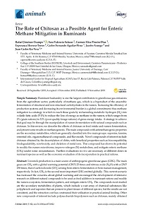 The Role of Chitosan as a Possible Agent for Enteric Methane Mitigation in Ruminants