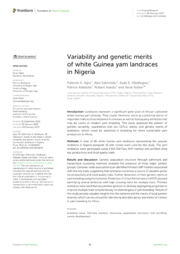 Variability and genetic merits of white Guinea yam landraces in Nigeria