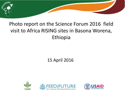 Photo report on the Science Forum 2016 field visit to Africa RISING sites in Basona Worena, Ethiopia, 15 April 2016