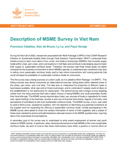 Description of MSME Survey in Viet Nam