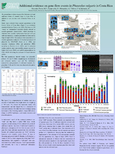 Additional evidence on gene flow events in Phaseolus vulgaris in Costa Rica