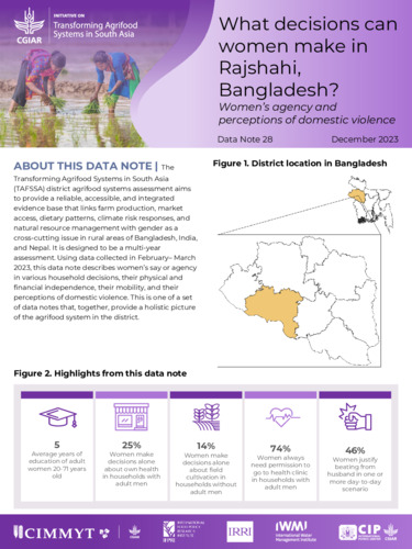 What decisions can women make in Rajshahi, Bangladesh? Women’s agency and perceptions of domestic violence