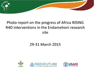 Photo report on the progress of Africa RISING R4D interventions in the Endamehoni research site, 29-31 March 2015