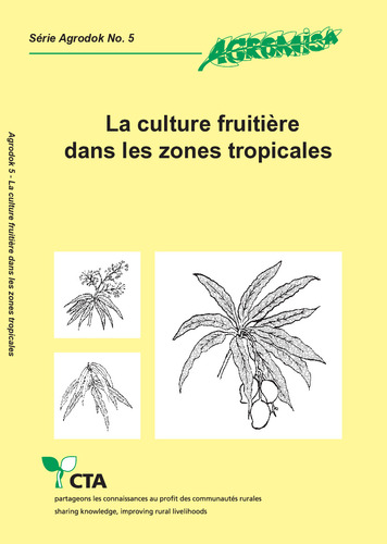 La culture fruitière dans les zones tropicales