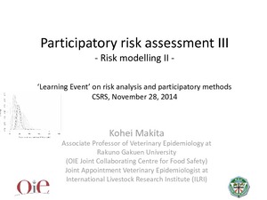 Participatory risk assessment: Risk modelling: II