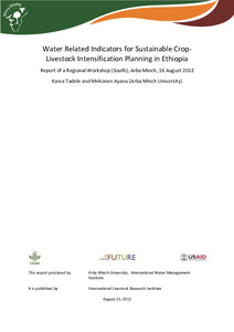 Water related indicators for sustainable crop-livestock intensification planning in Ethiopia: Report of a regional workshop (South), Arba Minch, 16 August 2012