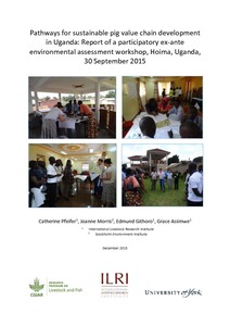 Pathways for sustainable pig value chain development in Uganda: Report of a participatory ex-ante environmental assessment workshop, Hoima, Uganda, 30 September 2015