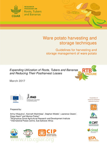 Ware potato harvesting and storage techniques: guidelines for harvesting and storage management of ware potato.
