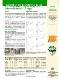 Formulation of a granulovirus-based biopesticide for managing the potato tuber moth in stored potatoes in Nepal.