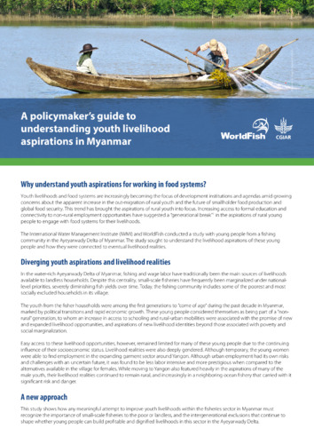 A policymaker’s guide to understanding youth livelihood aspirations in Myanmar