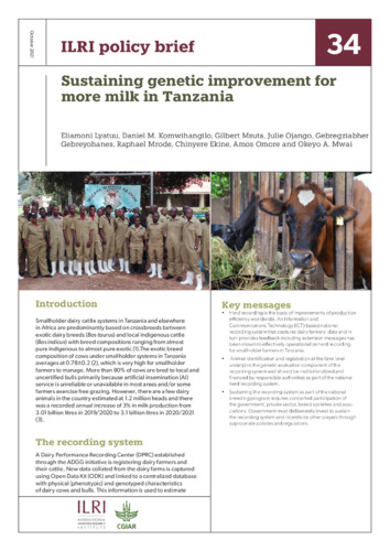 Sustaining genetic improvement for more milk in Tanzania