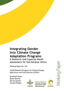 Integrating Gender into Climate Change Adaptation Programs: A Research and Capacity Needs Assessment for Sub-Saharan Africa
