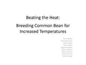 Beating the heat: breeding common bean for increased temperatures