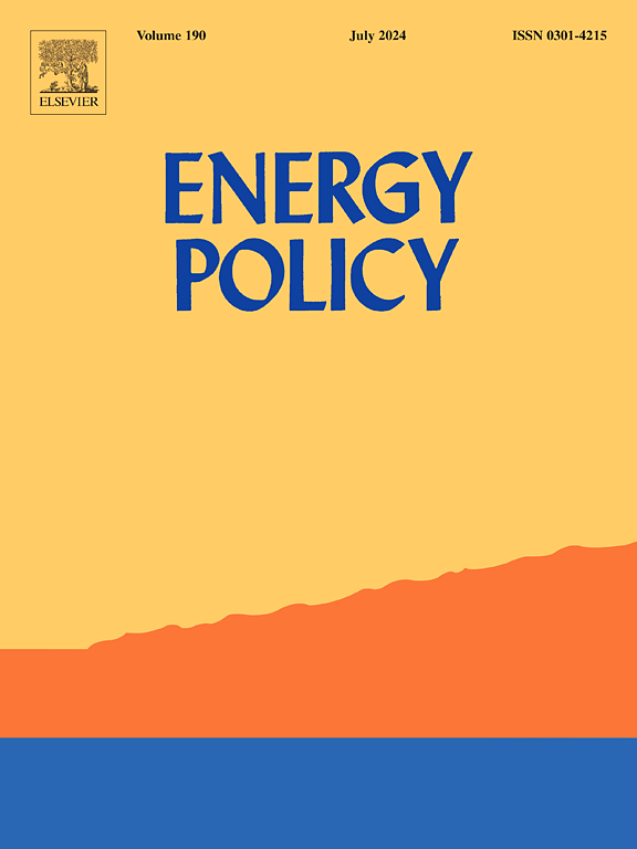 Exploring policy coherence to understand limited progress of gender and social inclusion in the energy sector: the case of Nepal