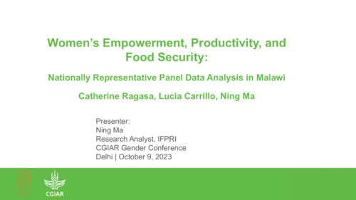 Women’s empowerment, productivity, and food security: Nationally representative panel data analysis in Malawi