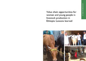 Value chain opportunities for women and young people in livestock production in Ethiopia: Lessons learned