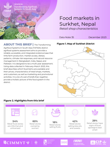 Food markets in Surkhet, Nepal: Retail shop characteristics