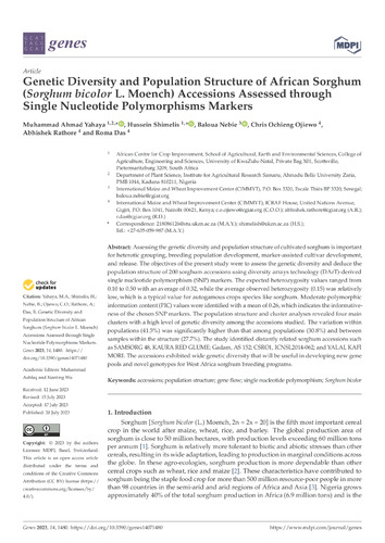 Genetic diversity and population structure of African sorghum (Sorghum bicolor L. moench) accessions assessed through single nucleotide polymorphisms markers