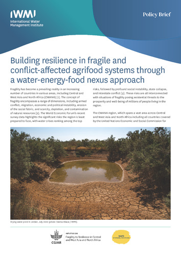 Building resilience in fragile and conflict-affected agrifood systems through a water-energy-food nexus approach