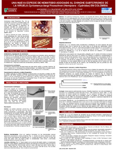 Una nueva especie de nemátodo asociado al chinche subterráneo de la viruela Cyrtomenus bergi Frooeschner (Hemiptera: Cydnidae) en Colombia