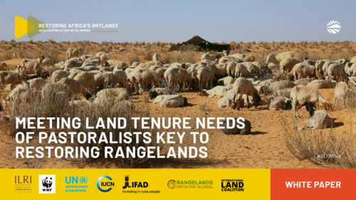 Meeting land tenure needs of pastoralists key to restoring rangelands