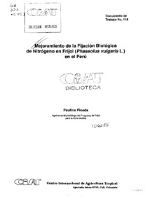 Mejoramiento de la fijación biológica de nitrógeno en frijol (Phaseolus vulgaris L.) en el Perú