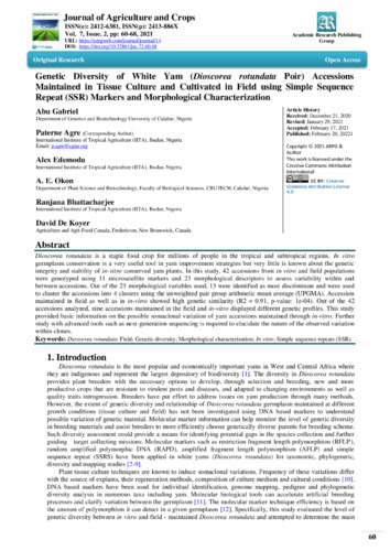 Genetic diversity of white yam (Dioscorea rotundata Poir) accessions maintained in tissue culture and cultivated in field using Simple Sequence Repeat (SSR) Markers and Morphological Characterization