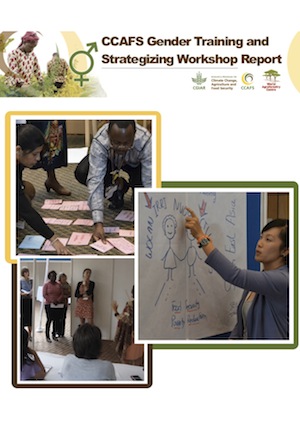CCAFS Gender Training and Strategizing Workshop Report