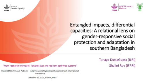 Entangled impacts, differential capacities: A relational lens on gender-responsive social protection and adaptation in southern Bangladesh