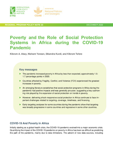 Poverty and the role of social protection systems in Africa during the COVID-19 pandemic