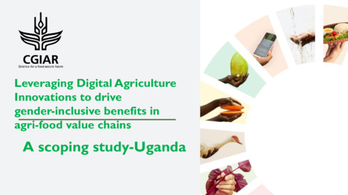 Leveraging Digital Agriculture Innovations to drive gender-inclusive benefits in agri-food value chains : A scoping study - Uganda