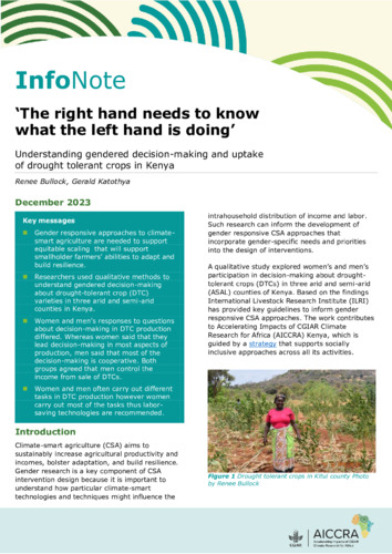 The right hand needs to know what the left hand is doing: Understanding gendered decision-making and uptake of drought tolerant crops in Kenya