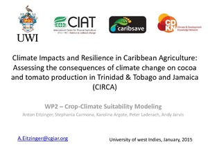 Climate impacts and resilience in Caribbean agriculture: assessing the consequences of climate change on cocoa and tomato production in Trinidad & Tobago and Jamaica (CIRCA)