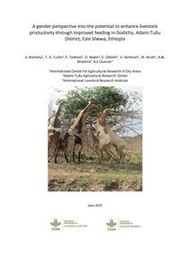 A gender perspective into the potential to enhance livestock productivity through improved feeding in Dodicha, Adami Tullu District, East Shewa, Ethiopia