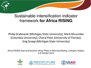 Sustainable intensification indicator framework for Africa RISING