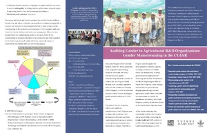 Auditing gender in agricultural R&D organizations: gender mainstreaming in the CGIAR