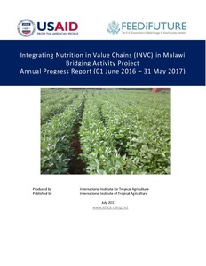 Africa RISING-Integrating Nutrition in Value Chains (INVC) in Malawi bridging activity project: Annual progress report (01 June 2016–31 May 2017)