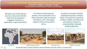 The complex and gender differentiated objectives of livestock keeping for Somali pastoralists