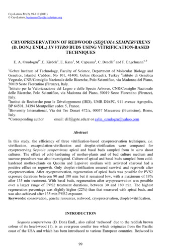 Cryopreservation of redwood (Sequoia sempervirens (D. Don.) Endl.) in vitro buds using vitrification-based techniques.