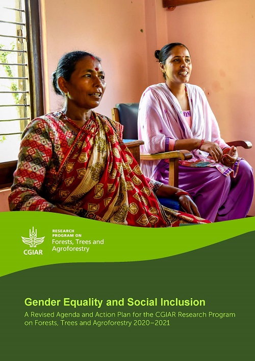 Gender Equality and Social Inclusion: A Revised Agenda and Action Plan for the CGIAR Research Program on Forests, Trees and Agroforestry 2020-2021