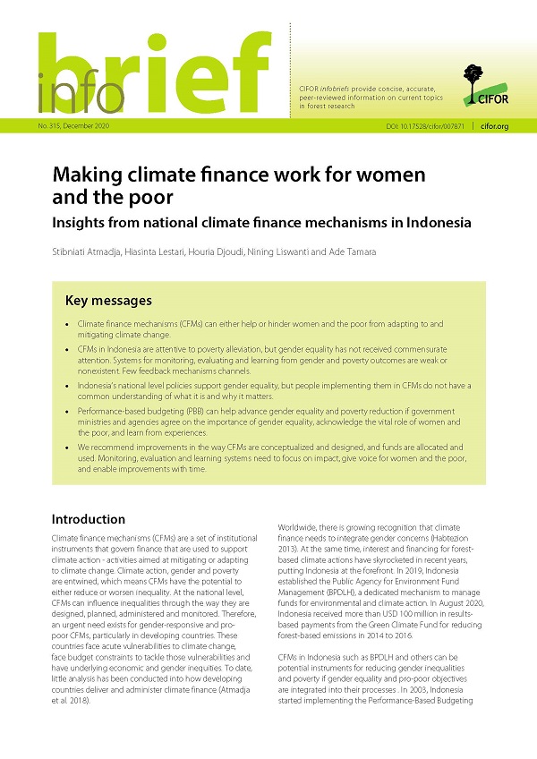 Making climate finance work for women and the poor: Insights from national climate finance mechanisms in Indonesia