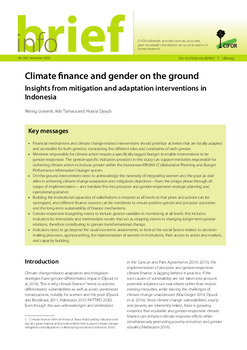 Climate finance and gender in the ground: Insights from mitigation and adaptation interventions in Indonesia